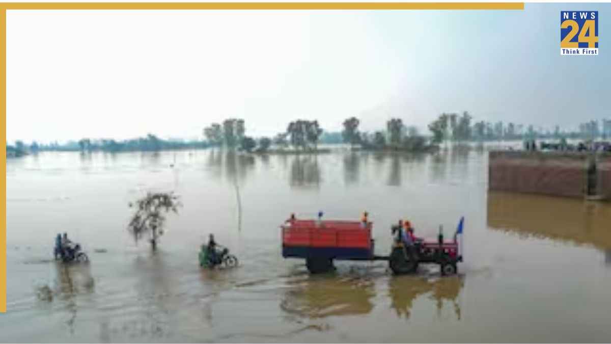 Chandigarh News, Chandigarh Latest News, Punjab News, Punjab Flood, Punjab CM, Punjab Rain, Punjab Weather, चंड़ीगढ़ न्यूज, चंड़ीगढ़ ताजा खबर, पंजाब न्यूज, पंजाब बाढ़, पंजाब सीएम, पंजाब बारिश, पंजाब मौसम