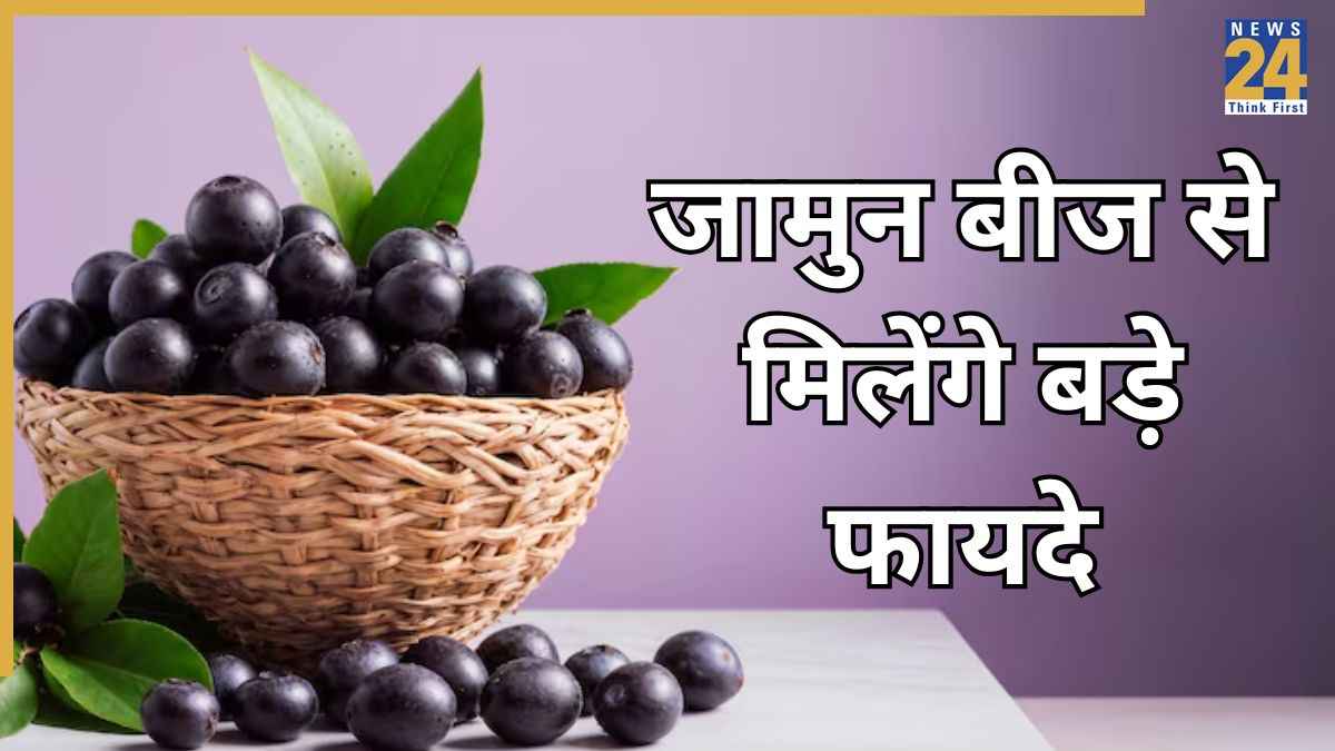 Benefits of Jamun Fruit: जामुन खाकर बीजों को फेंक देते हैं? अब न करें ये गलती, इस बीमारी से मिल सकता है छुटकारा