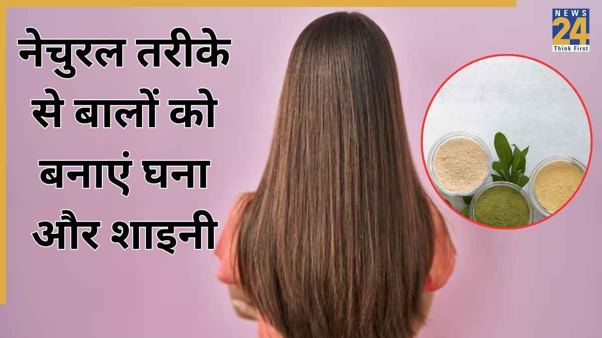 Hair Care: घने और मोटे बाल चाहिए, आज से ही खाना शुरू कर दीजिए ये पाउडर, एक्सपर्ट ने बताया तेजी से दिखेगा असर