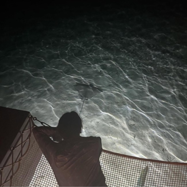 Ananya Panday, Ananya Panday bikini photos, Ananya Panday bold look-1-2-3-4-5-6-7-8