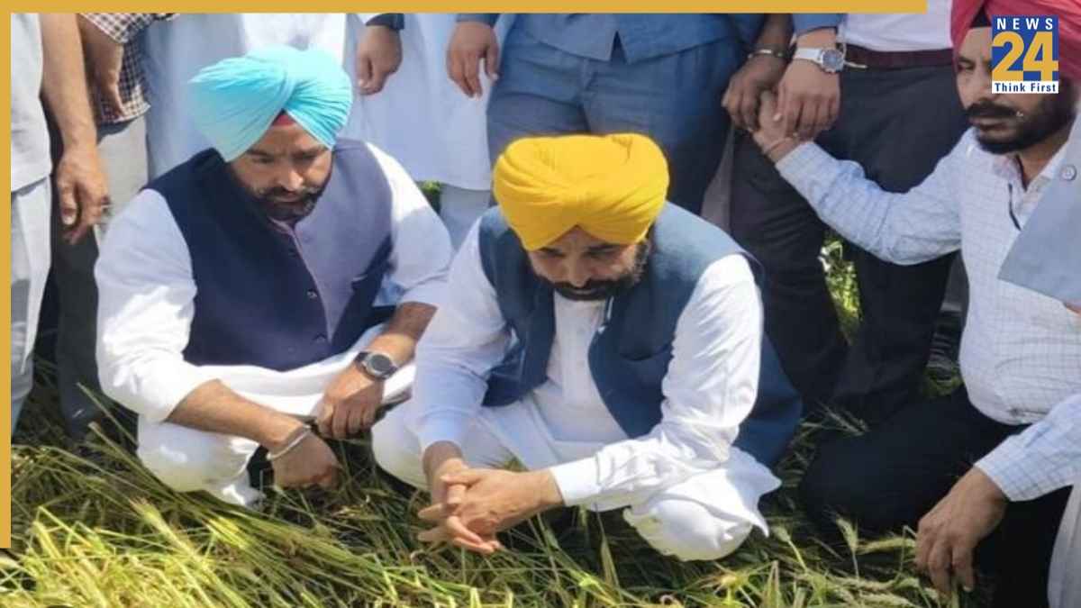 मुख्यमंत्री मान का वादा: विशेष गिरदावरी से मिलेगा हर किसान को नुकसान का मुआवजा