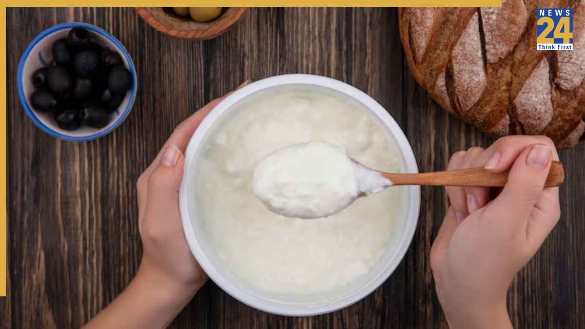 क्या आप भी रोजाना करते हैं दही का सेवन? जानें एक्सपर्ट से आयुर्वेदिक नियम, सेहत पर हो सकता है भारी नुकसान