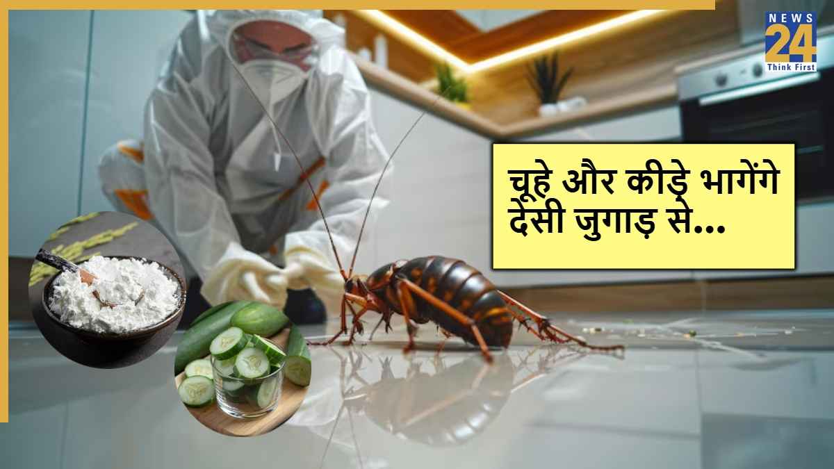 Homemade Pest Control For Home: बाजार की दवाइयों को कहिए अलविदा, घर पर बनाएं असरदार पाउडर