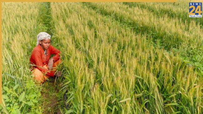 Bihar Crop Digital Survey