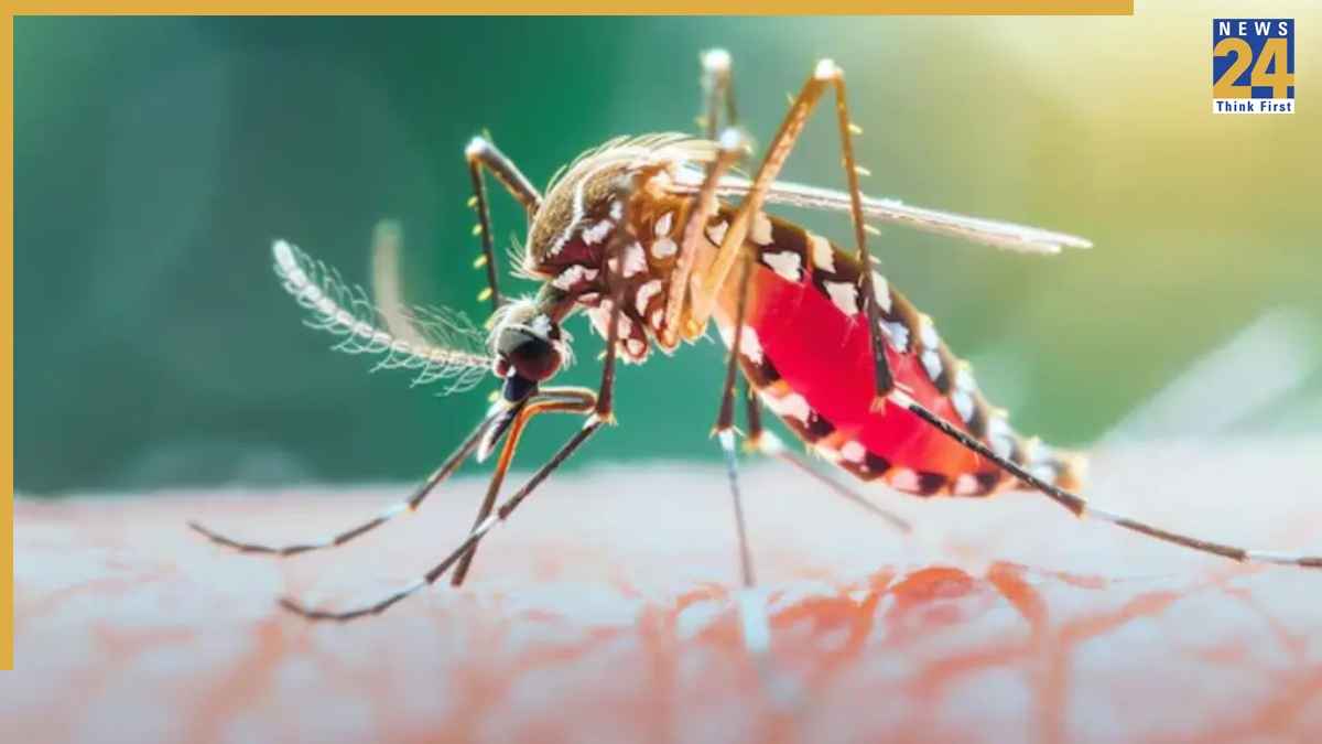 Noida News: डेंगू का प्रकोप बढ़ा, जिले में मरीजों की संख्या 400 पार