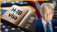 H1B Visa, Indian Embassy, ​​Ministry of External Affairs, USA, Donald Trump, US President, Visa Fees, एच1बी वीजा, भारतीय दूतावास, भारत विदेश मंत्रालय, अमेरिका, डॉनल्ड ट्रंप, अमेरिका राष्ट्रपति, वीजा फीस