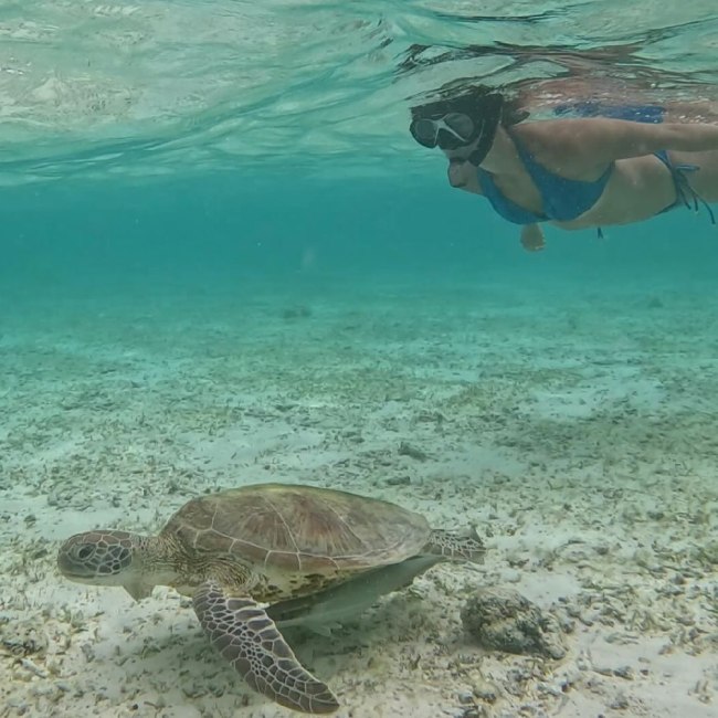 Ananya Panday, Ananya Panday bikini photos, Ananya Panday bold look-1-2-3-4