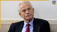 Peter Navarro | Donald Trump | Elon Musk