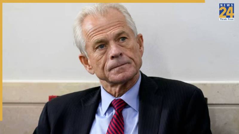 Peter Navarro | Donald Trump | Elon Musk
