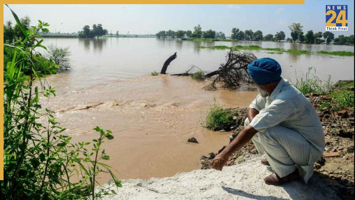 पंजाब में बाढ़ के बीच सरकार का बड़ा ऐलान, किसानों को मिलेगा मुआवजा