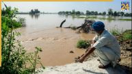 Punajb News, Punjab Flood, Punjab Government, Aap Government, Farmers Compensation News24