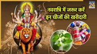 Shardiya Navratri 2025
