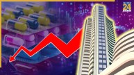 Share Market down