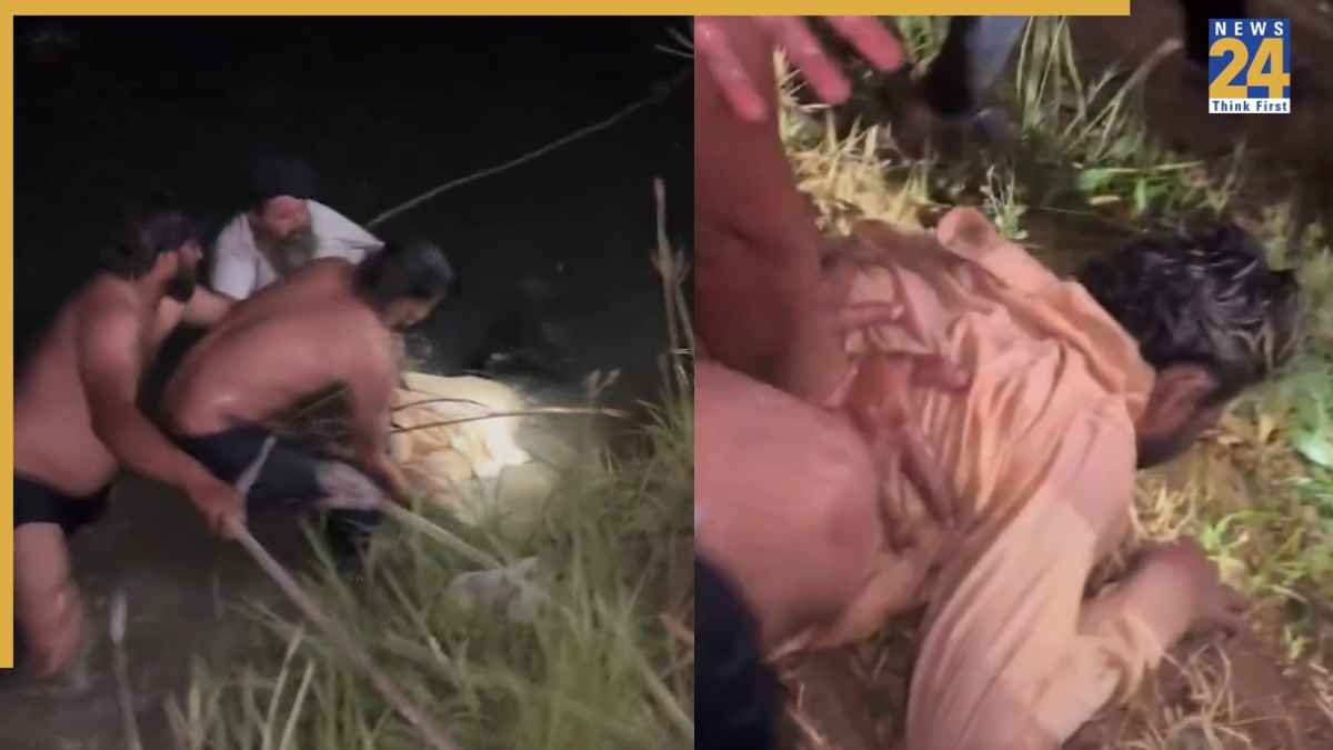 11 km तैरने के बाद अंधेरी रात में इस तरह बची शख्स की जान, वीडियो वायरल