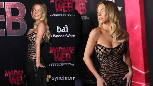 Sydney Sweeney the housemaid-1-2-3-4-5