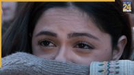 2025 low Budget movie, 2025 Highest grossing Movie Saiyaara