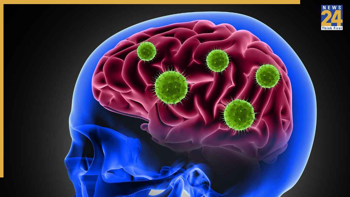 Brain Eating Amoeba