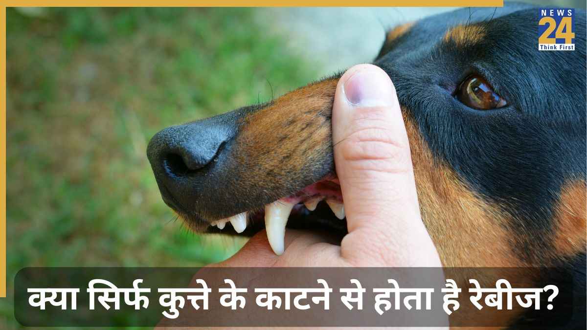 क्या सिर्फ कुत्ते के काटने से होता है रेबीज? जानिए Rabies होने पर शरीर में कौन से लक्षण नजर आते हैं
