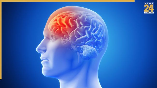 Blood Test for Brain Disease