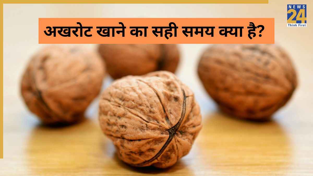 अखरोट खाने का सही समय क्या है? AIIMS ट्रेंड डॉक्टर ने बताया कब खाने से मिलता है ब्रेन को फायदा