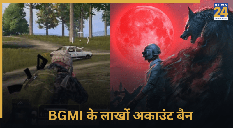 BGMI, Accounts Banned