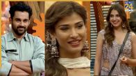 bigg boss 19, nehal chudasama, abhishek bajaj