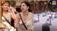 bigg boss 19 nominations, bigg boss 19