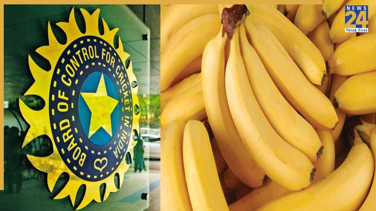 Nainital high court Gave notice to bcci