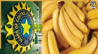Nainital high court Gave notice to bcci