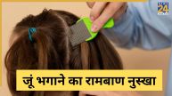 Lice home remedies