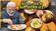 Pm Modi Birthday
