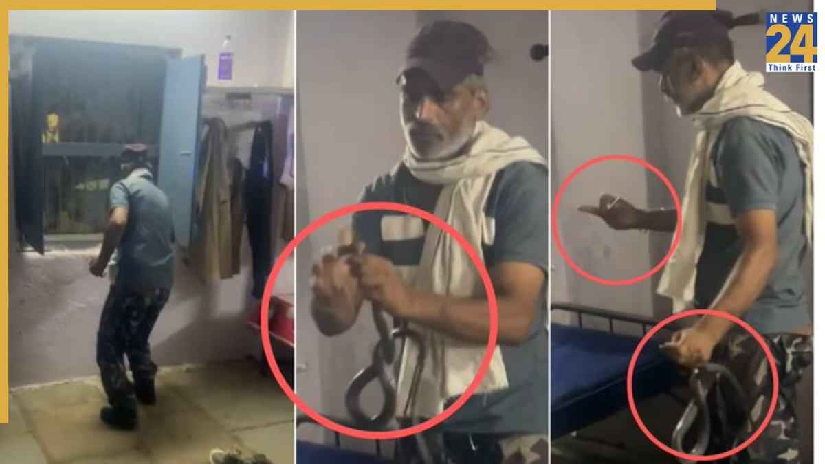 snake bite indore