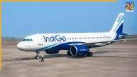 bomb threat to plane