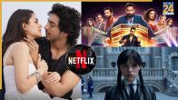 The Bads Of Bollywood netflix Saiyaara