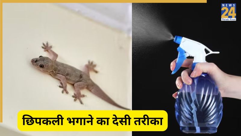इस तरह से भगाएं छिपकली-Image Source Freepik