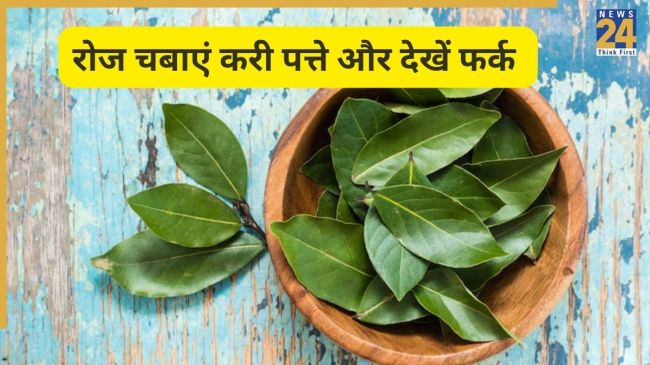 क्या आप रोज सुबह करी पत्ता चबाते हैं?- Image Source Freepik