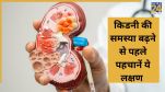 kidney