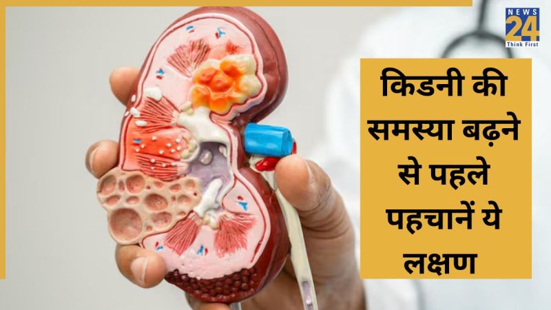 kidney