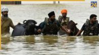 Punjab News, Punjab Latest News, Punjab, Punjab Floods, Punjab CM, Bhagwant Mann, Punjab Animal Husbandry Minister, पंजाब न्यूज, पंजाब ताजा खबर, पंजाब, पंजाब बाढ़, पंजाब सीएम, भगवंत मान, पंजाब पशुपालन मंत्री