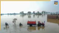 Chandigarh News, Chandigarh Latest News, Punjab News, Punjab Flood, Punjab CM, Punjab Rain, Punjab Weather, चंड़ीगढ़ न्यूज, चंड़ीगढ़ ताजा खबर, पंजाब न्यूज, पंजाब बाढ़, पंजाब सीएम, पंजाब बारिश, पंजाब मौसम
