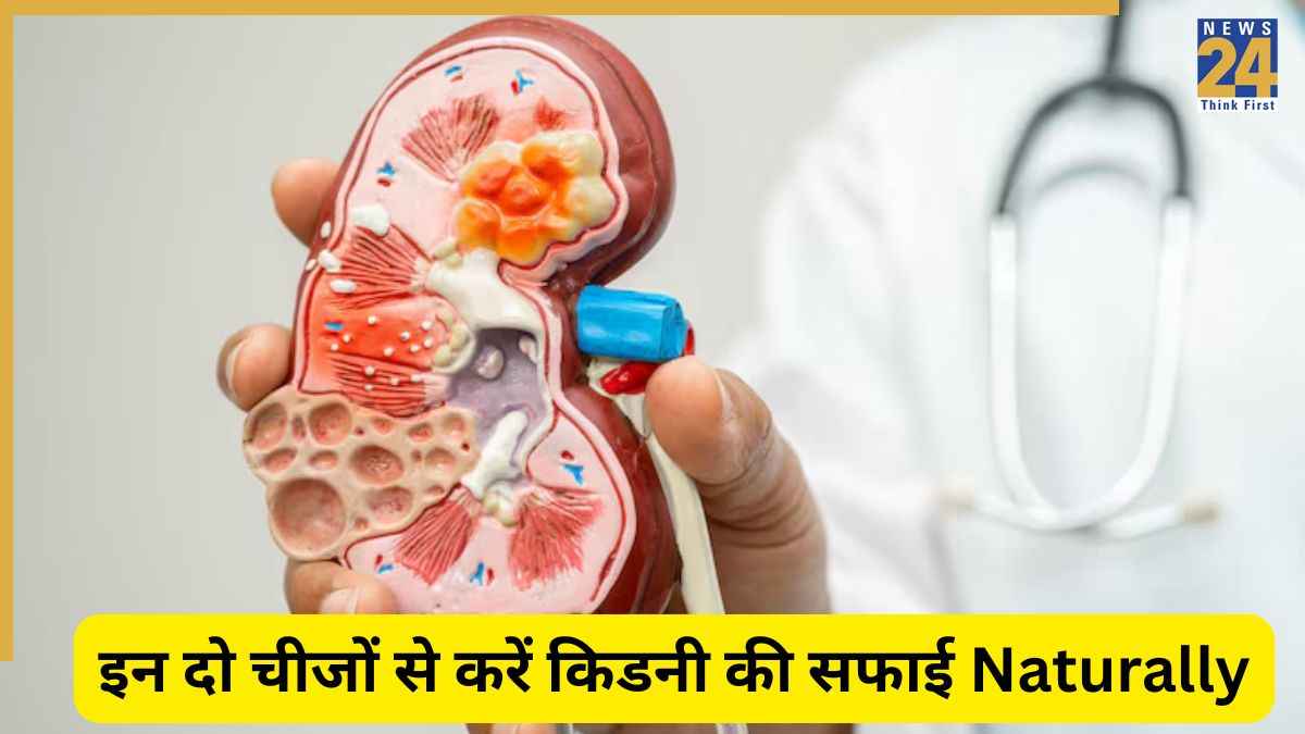 किडनी फेल होने से बचाएगा ये पाउडर, एक्सपर्ट से जानें कैसे करें सेवन?