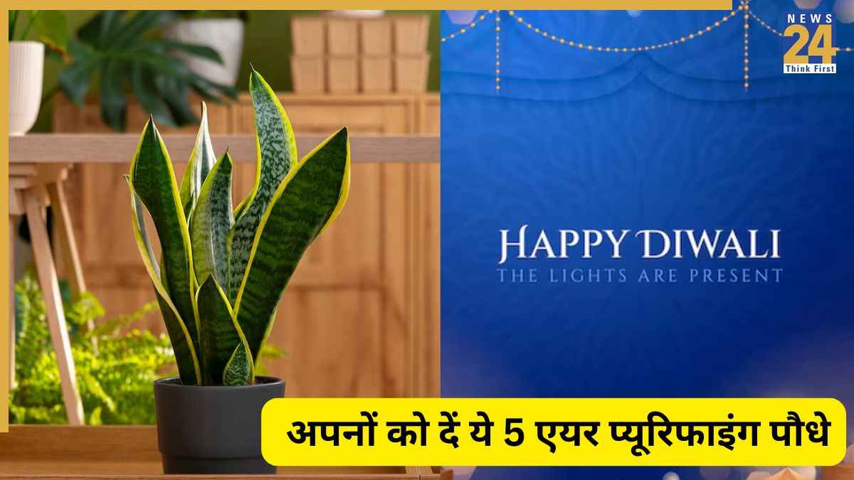 Diwali 2025: फेस्टिवल में अपनों को गिफ्ट में दें पौधे, दिवाली बनेगी हेल्दी और एनवायरनमेंट फ्रेंडली