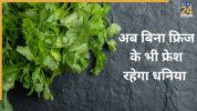 How to store coriander
