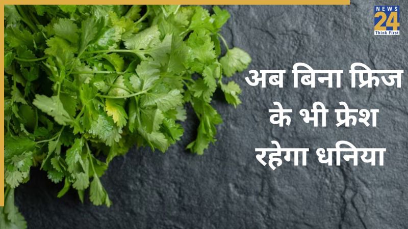 How to store coriander How to store coriander-1