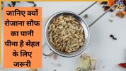 Fennel water benefits