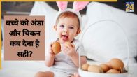 baby egg chicken age