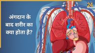 Organ Donation