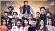 Bigg Boss 19, Salman Khan