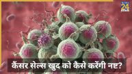 Cancer Treatment