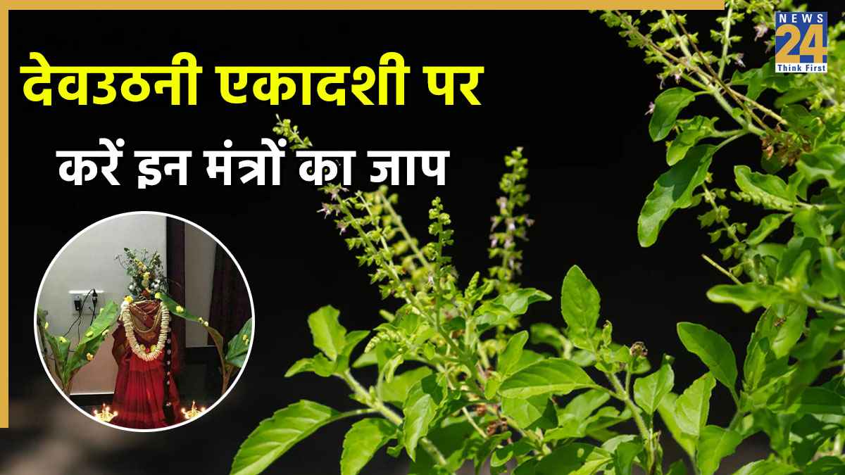Devuthani Ekadashi 2025: देवउठनी एकादशी पर करें मां तुलसी के 108 नामों का जाप, बरसेगी मां लक्ष्मी की कृपा